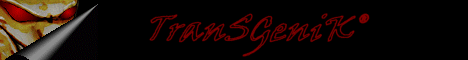 Visit Us !